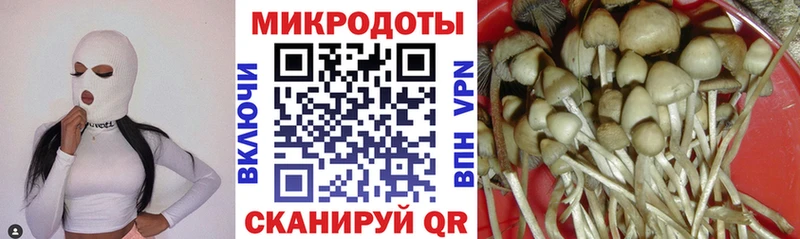 Галлюциногенные грибы мухоморы  Купить закладки  Могоча 